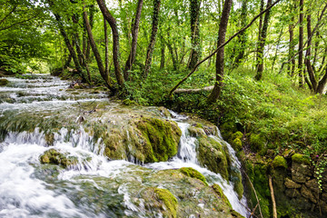 Croatia Waterfall of Plitvice lake, natural travel background, 