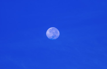 Twilight and sky and silhouettes of dry trees, effect full moon