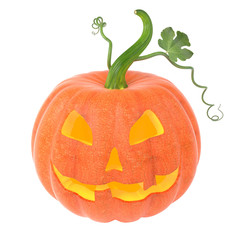Jack O'Lantern pumpkin with candle light inside isolated on white background. Halloween pumpkin with long stem, green leaf and curls. 3D illustration.