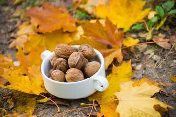 Walnuts in a bowl on a background of foliage.