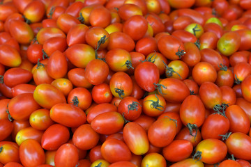 Small red tomatoes