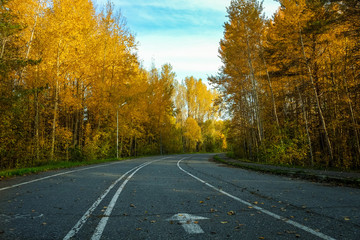 Naklejka premium Road for running with nobody in autumn park