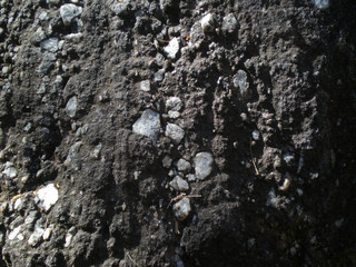 Close-up of a Rock in the Australian Outback