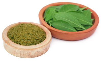 Ayurvedic henna leaves