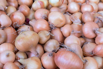 Gemüse auf dem Wochenmarkt