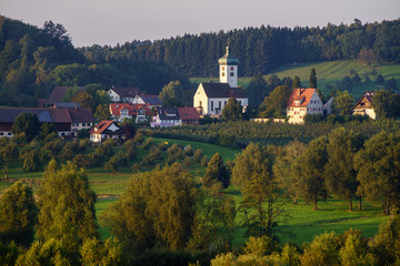 Spätsommer am Bodensee bei Lindau, Obstplantagen am Taubenberg,