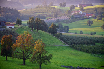 Fototapeta premium romantyczny krajobraz nad Jeziorem Bodeńskim w pobliżu Lindau w wieczornym świetle