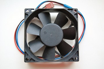 fan