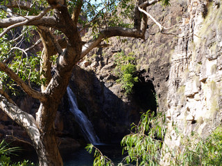 River in the australian outback