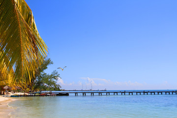 plage des caraïbes 09102016 