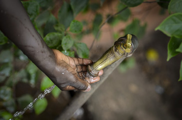 Close-Up of Black Baby Hands Cupped under Water Tap