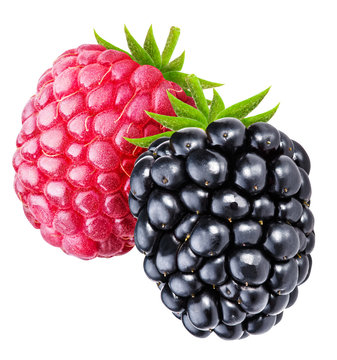 Blackberry and raspberry isolated clipping path