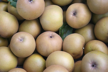 Mele Ruggine. Mele marroni italiane