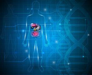 Gastrointestinal tract abstract blue research background, liver, stomach and other surrounding organs, detailed colorful drawing