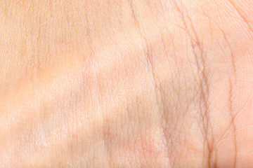 skin texture at wrist and palm for pattern and background