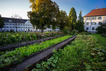 Spätsommer im Klostergarten der Mehrerau in Bregenz (Österreic