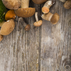 Raw mushrooms on a wooden table. Boletus edulis.