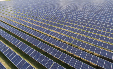 Rows of Solar panels in Solar Farm