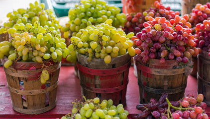 Baskets Full of Grapes
