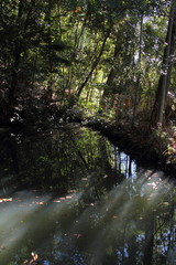 Fototapeta premium 池01