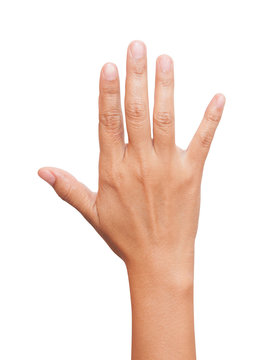 Open woman hand or number five isolated