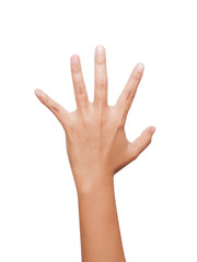 Open woman hand or number five isolated