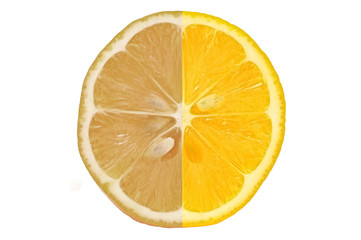 Lemon on white background isolated