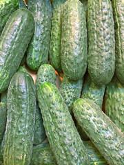 A box of cucumbers