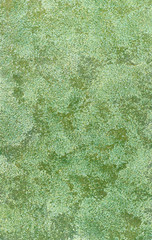 Decorative plaster texture, decorative wall, stucco texture, decorative stucco