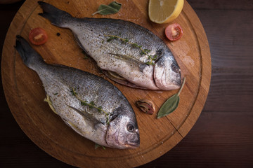 Fresh uncooked dorado