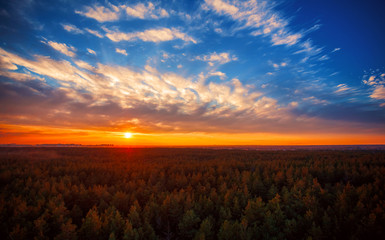 Beautiful panoramic photo of the sunset over the tops of pine forest. Aerial view. From above. Picture taken using the copter.