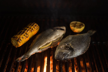 Grilled dorado fish