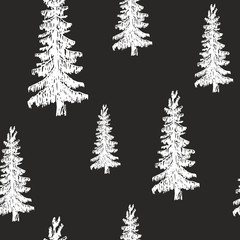 Pine tree hand drawn sketch retro, vintage Seamless Pattern. Vector Illustration.