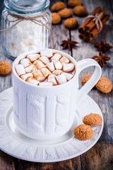 hot  chocolate with marshmallows