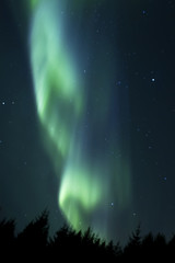 Beautiful northern light aurora borealis in the night sky of Iceland