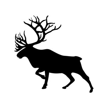 northern deer vector illustration silhouette black