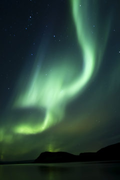 Aurora Borealis beautiful northern light in the clear night sky,  Iceland