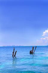 Fototapeta premium caraïbes 09102016