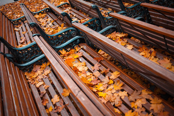 Many of benches in autumn Park covered with leaves, close-up