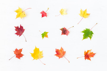 Fototapeta premium Autumn pattern of maple leaves. Flat lay, top view