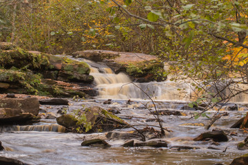 Broader picture of stream with colored leaves in Northern Minnesota