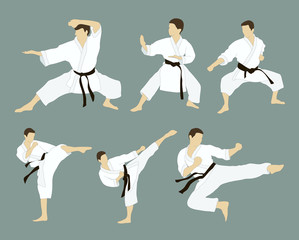 Karate icon set