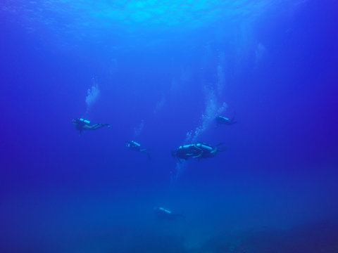 Scuba Divers swimming over the live coral reef full of fish and sea anemones.