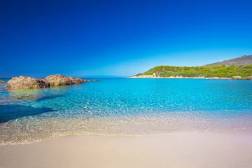 Photo sur Plexiglas Plage de Palombaggia, Corse Beautiful sandy beach with rocks near Cargese, Corsica