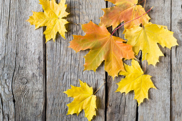 Naklejka na ściany i meble Autumn leaves on wooden surface