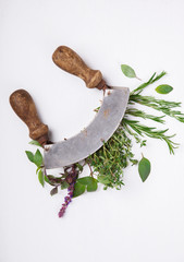 Variety of fresh green grass, space for text, background, top view.Vegetarian or diet,and healthily cooking concept.selective focus.