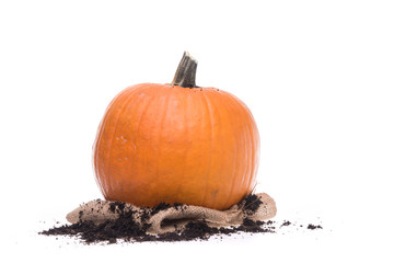 Orange pumpkin on white background