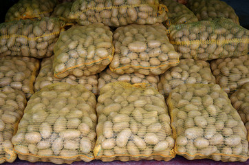 Dauphiné - Vente bio à la ferme (pommes de terre)