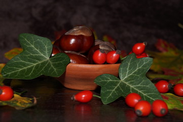 Autumn colors - chestnut, eglantine  and colorful leaves