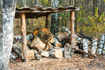 Trees and firewood